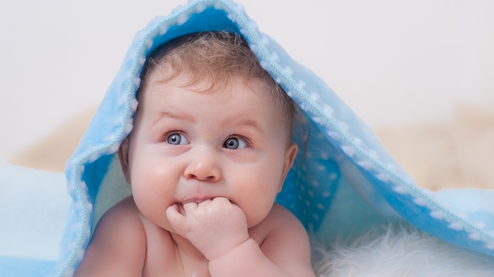 Neugieriges Entdecken